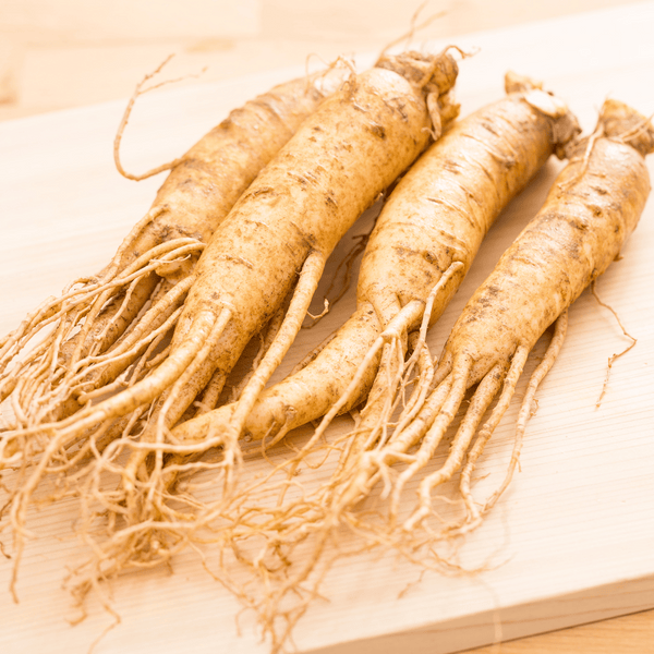 Ginkgo Biloba und Ginseng